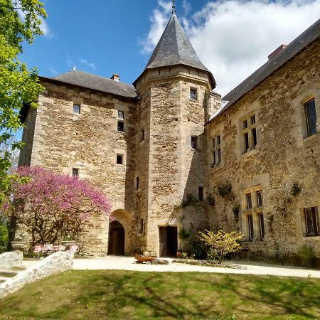 Chateau De Chanze Faye-d'Anjou 外观 照片