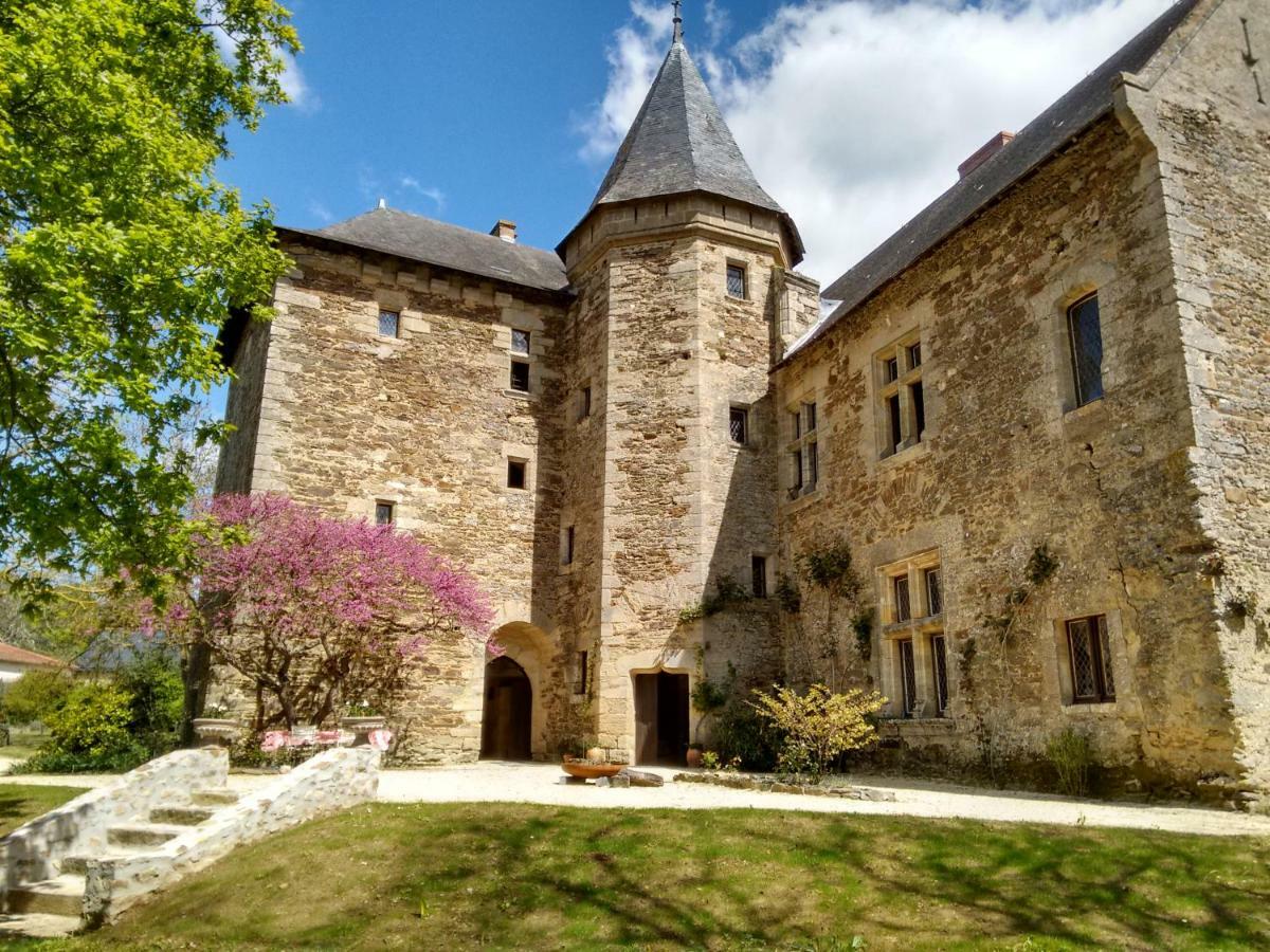 Chateau De Chanze Faye-d'Anjou 外观 照片
